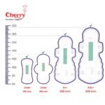 Combo Size Chart Riya hygiene Cherry Sanitary Pad